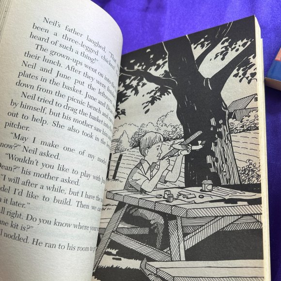 ๐Childhood of Famous American Series Reading Level Edison/ Armstrong Pocahontas - Picture 8 of 13